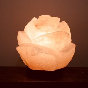 Rose Salt Lamp
