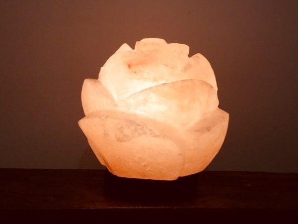 Rose Salt Lamp